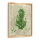 Alga Esmeralda I | Cuadro decorativo de Canvas Lab
