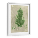 Alga Esmeralda I | Cuadro decorativo de Canvas Lab