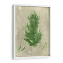 Alga Esmeralda I | Cuadro decorativo de Canvas Lab