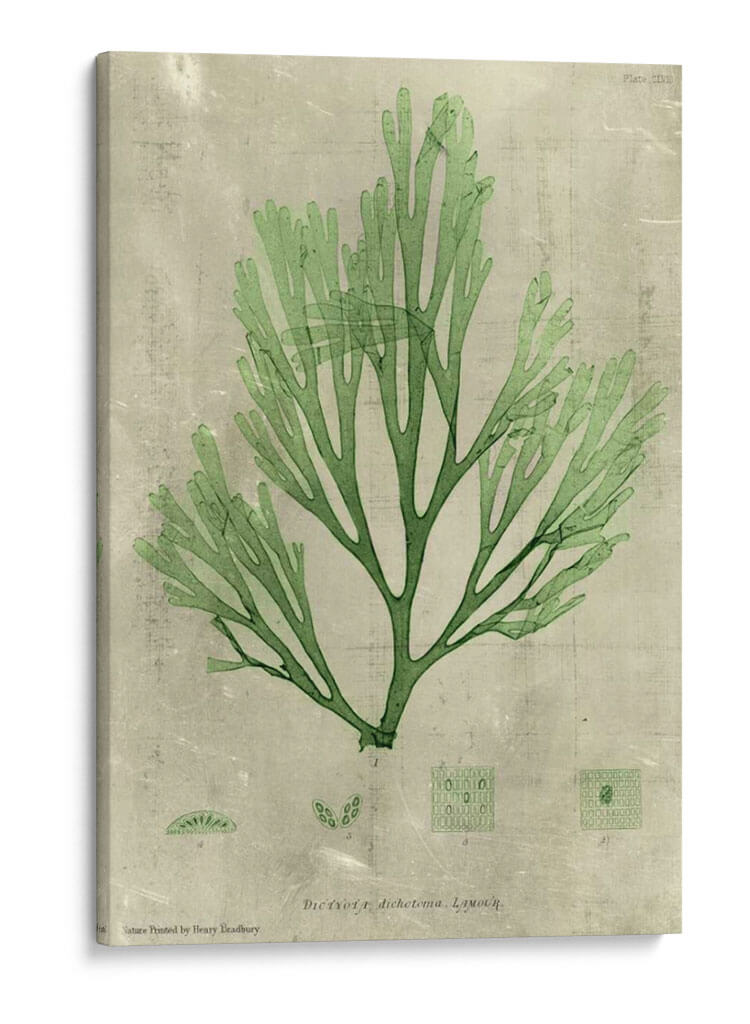 Marina Esmeralda Ii | Cuadro decorativo de Canvas Lab