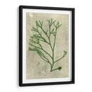 Alga Esmeralda Iii | Cuadro decorativo de Canvas Lab