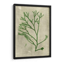 Alga Esmeralda Iii | Cuadro decorativo de Canvas Lab