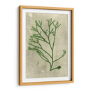 Alga Esmeralda Iii | Cuadro decorativo de Canvas Lab