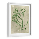 Alga Esmeralda Iii | Cuadro decorativo de Canvas Lab