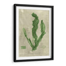 Esmeralda Seaweed Iv | Cuadro decorativo de Canvas Lab