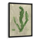 Esmeralda Seaweed Iv | Cuadro decorativo de Canvas Lab