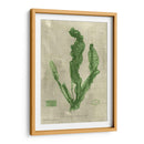 Esmeralda Seaweed Iv | Cuadro decorativo de Canvas Lab