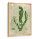 Esmeralda Seaweed Iv | Cuadro decorativo de Canvas Lab