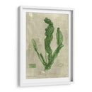 Esmeralda Seaweed Iv | Cuadro decorativo de Canvas Lab