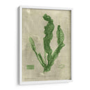 Esmeralda Seaweed Iv | Cuadro decorativo de Canvas Lab