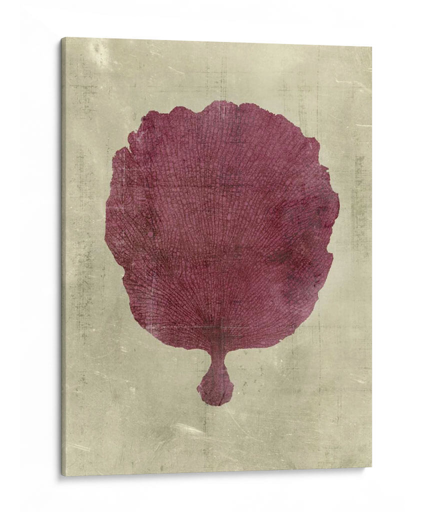 Coral En Ciruela - Vision Studio | Cuadro decorativo de Canvas Lab
