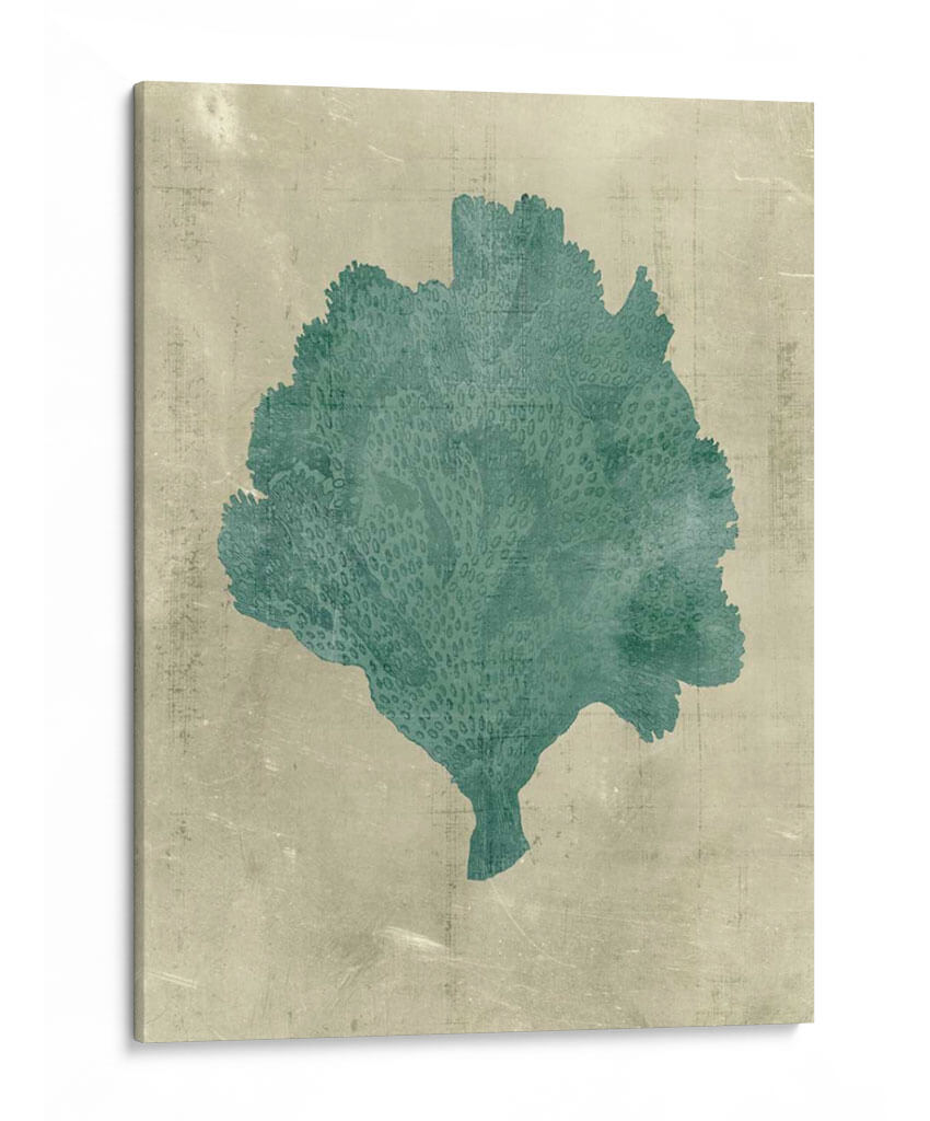 Coral En Teal - Vision Studio | Cuadro decorativo de Canvas Lab