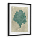 Coral En Teal - Vision Studio | Cuadro decorativo de Canvas Lab