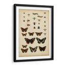 Amigos De Jardín - Vision Studio | Cuadro decorativo de Canvas Lab