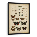 Amigos De Jardín - Vision Studio | Cuadro decorativo de Canvas Lab