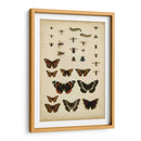 Amigos De Jardín - Vision Studio | Cuadro decorativo de Canvas Lab