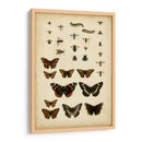 Amigos De Jardín - Vision Studio | Cuadro decorativo de Canvas Lab