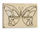 Armadura De Mariposa - Natalie Avondet | Cuadro decorativo de Canvas Lab
