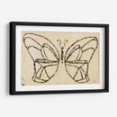 Armadura De Mariposa - Natalie Avondet | Cuadro decorativo de Canvas Lab