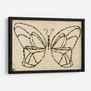 Armadura De Mariposa - Natalie Avondet | Cuadro decorativo de Canvas Lab
