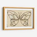 Armadura De Mariposa - Natalie Avondet | Cuadro decorativo de Canvas Lab