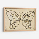 Armadura De Mariposa - Natalie Avondet | Cuadro decorativo de Canvas Lab
