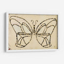 Armadura De Mariposa - Natalie Avondet | Cuadro decorativo de Canvas Lab