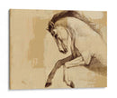 Majestic Horse Ii - Ethan Harper | Cuadro decorativo de Canvas Lab