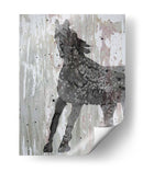 Sinangular Ii - Alicia Ludwig | Cuadro decorativo de Canvas Lab