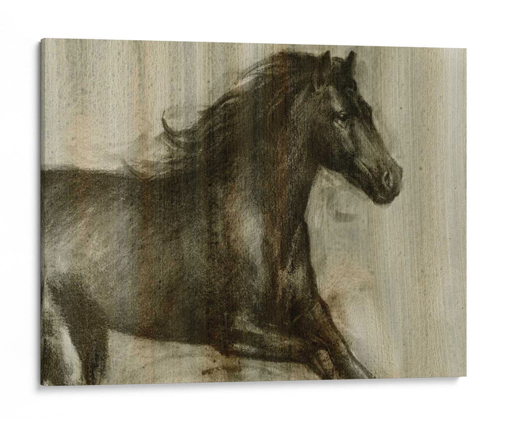 Stallión Dinámico I - Ethan Harper | Cuadro decorativo de Canvas Lab