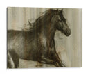 Stallión Dinámico I - Ethan Harper | Cuadro decorativo de Canvas Lab