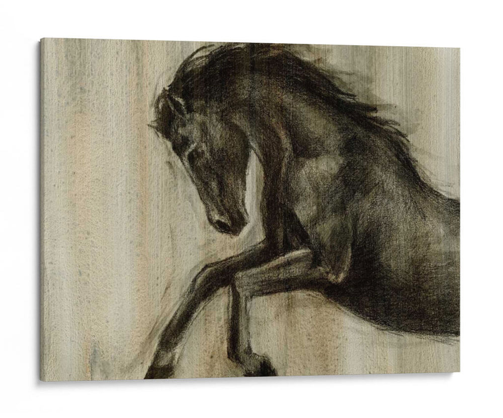 Stallion Dinamico Ii - Ethan Harper | Cuadro decorativo de Canvas Lab