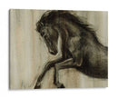 Stallion Dinamico Ii - Ethan Harper | Cuadro decorativo de Canvas Lab