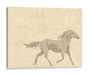 Caballo Vintage I - Vision Studio | Cuadro decorativo de Canvas Lab
