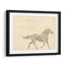 Caballo Vintage I - Vision Studio | Cuadro decorativo de Canvas Lab