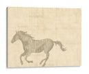 Caballo Vintage Ii - Vision Studio | Cuadro decorativo de Canvas Lab