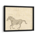 Caballo Vintage Ii - Vision Studio | Cuadro decorativo de Canvas Lab