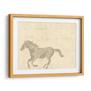 Caballo Vintage Ii - Vision Studio | Cuadro decorativo de Canvas Lab