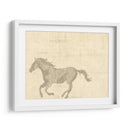 Caballo Vintage Ii - Vision Studio | Cuadro decorativo de Canvas Lab