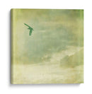 Has Olvidado Ii - Jennifer Jorgensen | Cuadro decorativo de Canvas Lab