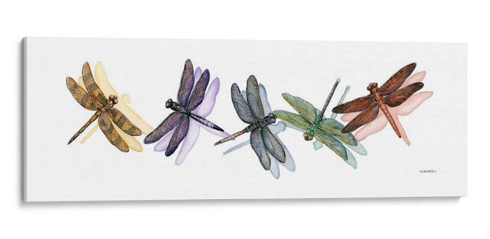 Alas De Esplendor Ii - Wendy Russell | Cuadro decorativo de Canvas Lab