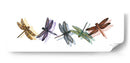 Alas De Esplendor Ii - Wendy Russell | Cuadro decorativo de Canvas Lab
