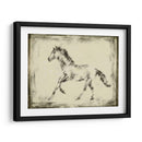 Estudio Equino Ii - Ethan Harper | Cuadro decorativo de Canvas Lab