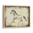 Estudio Equino Ii - Ethan Harper | Cuadro decorativo de Canvas Lab