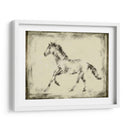 Estudio Equino Ii - Ethan Harper | Cuadro decorativo de Canvas Lab