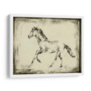 Estudio Equino Ii - Ethan Harper | Cuadro decorativo de Canvas Lab