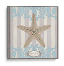 Riviera Shell Iii - June Erica Vess | Cuadro decorativo de Canvas Lab