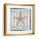 Riviera Shell Iii - June Erica Vess | Cuadro decorativo de Canvas Lab