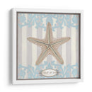 Riviera Shell Iii - June Erica Vess | Cuadro decorativo de Canvas Lab