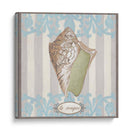 Riviera Shell Iv - June Erica Vess | Cuadro decorativo de Canvas Lab